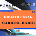Direito Penal - Gabriel Habib - Forum 2021