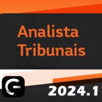 Analista dos Tribunais (G7 2024) - STF, STJ, TSE, TST, TRFs, TREs, e TJs