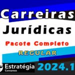 Carreira Jurídica – Pacote Teórico – ESTRATEGIA 2024 (Regular) + Brinde Curso anterior 2023