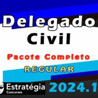 Delegado de Policia Civil 2024