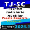 TJ SC Tecnico Judiciario Auxiliar 2024 CURSO
