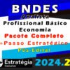 BNDES Analista Profissional Basico Economia CURSO 2024