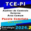 TCE PI Auditor de Controle Externo Area Comum curso 2024