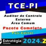 TCE-PI (Auditor de Controle Externo - Área Comum) Pacote - Estrategia 2024 (Pós-Edital)