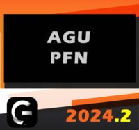 AGU PFN G7 2024.2 CURSO