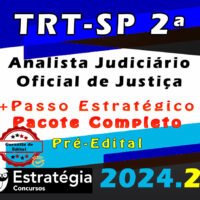 TRT SP 2a Regiao Analista Judiciario Oficial de Justica curso 2024