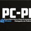 PC PI Prova Discursiva e Peça Processual