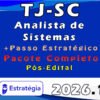TJ SC (Analista de Sistemas) Pacotaço Pacote Teórico + Pacote Passo Estratégico 2026 (Pós Edital)